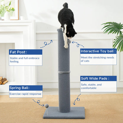 🐈Vertical Sisal Scratcher Sturdy Base with Replaceable Spring Toy